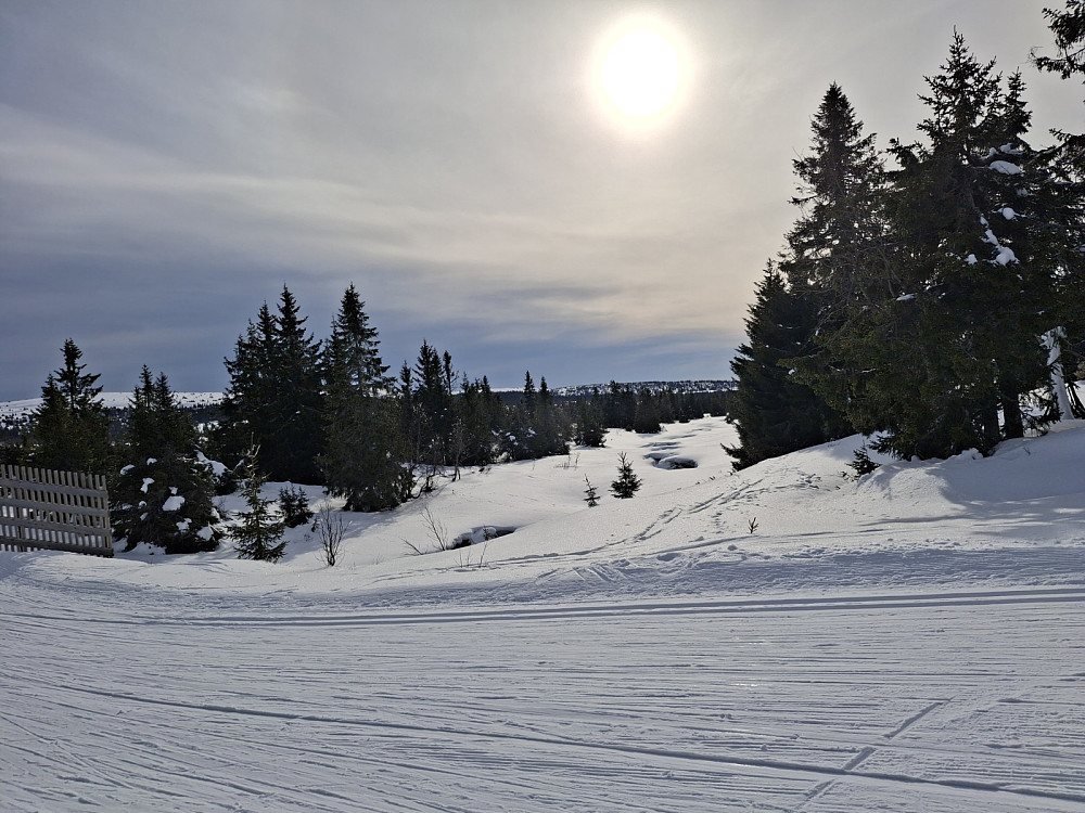 Ved brua over Fjellelva