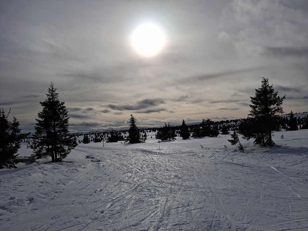 Ved løypekrysset Melsjøen