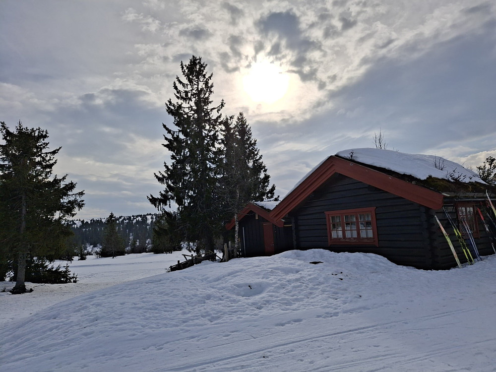 Ved Midtfjellkoia
