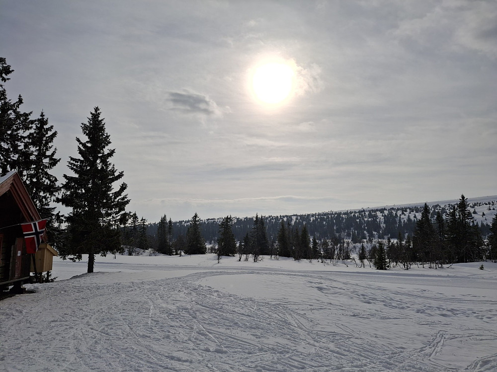 Ved Midtfjellkoia