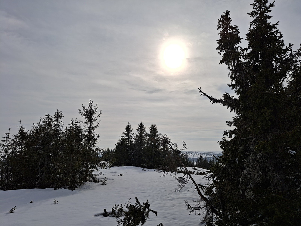 På Gjesboåsen