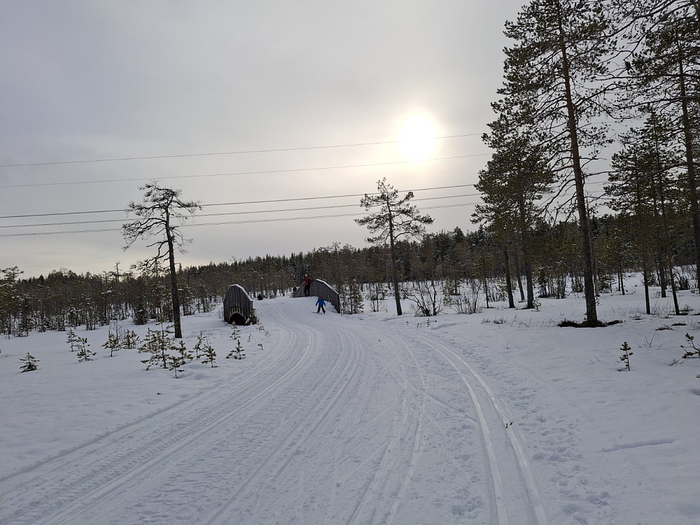 Ved Kubrua