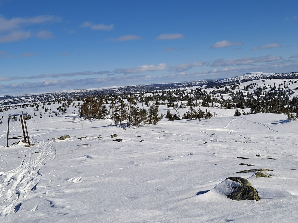 På Sjusjøfjellet øst