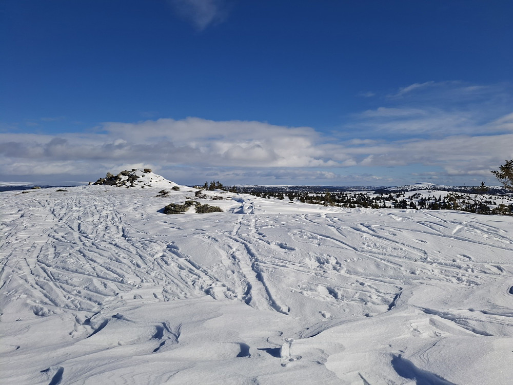 På Sjusjøfjellet øst