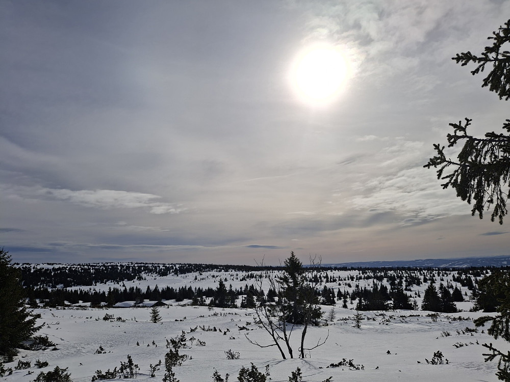I løypa ved Løvisåsen