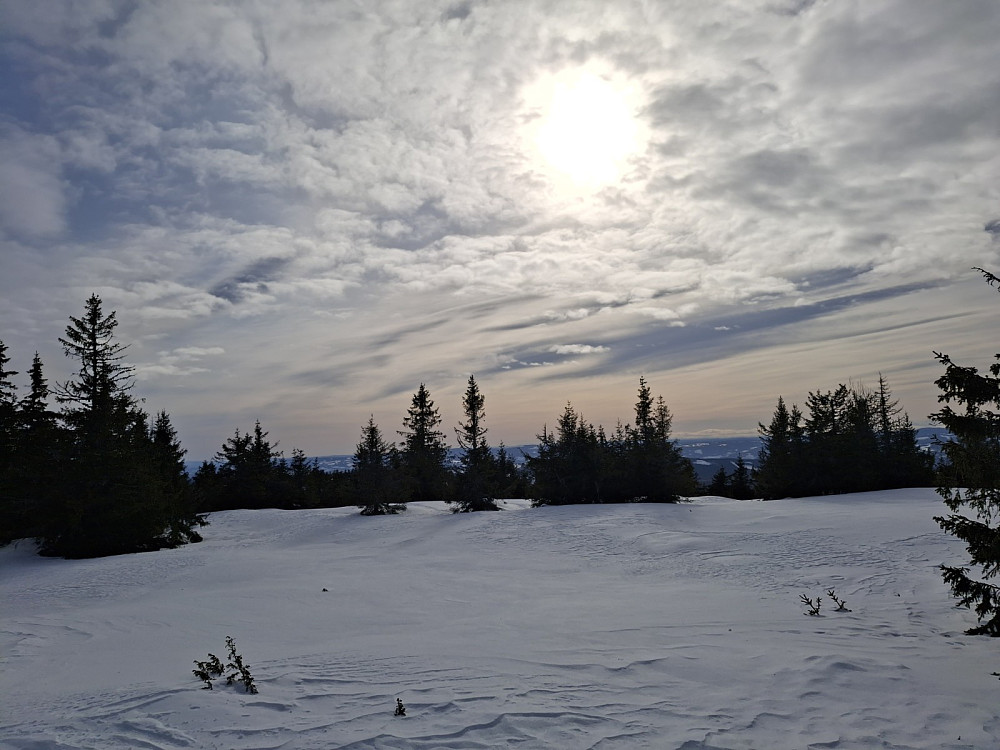 Ved Appelsinhaugen