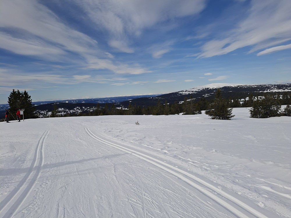 Ved løypekrysset Nordseterfjellet