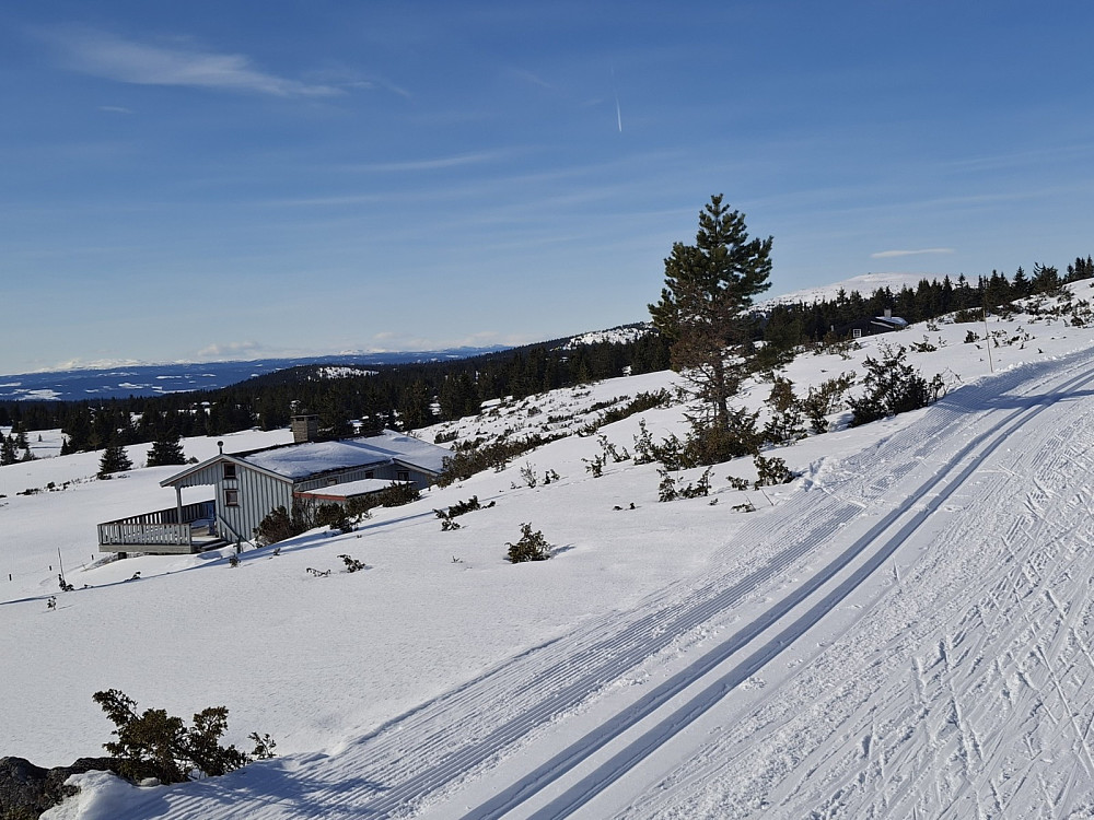 I løypa ved Løvisåsen