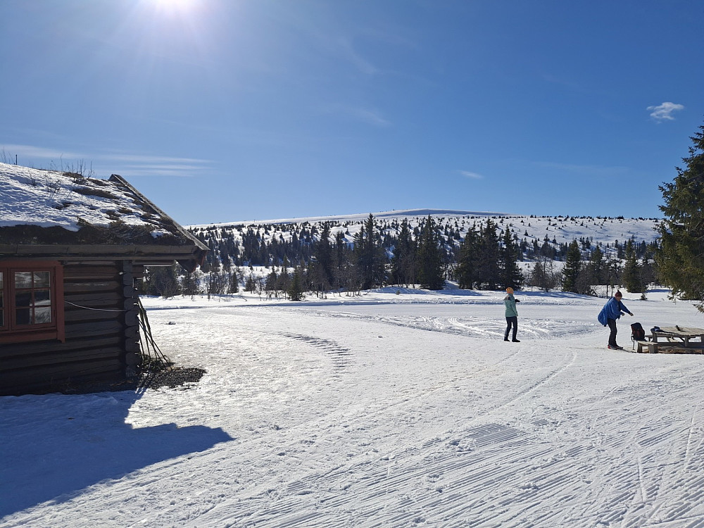 Ved Midtfjellkoia