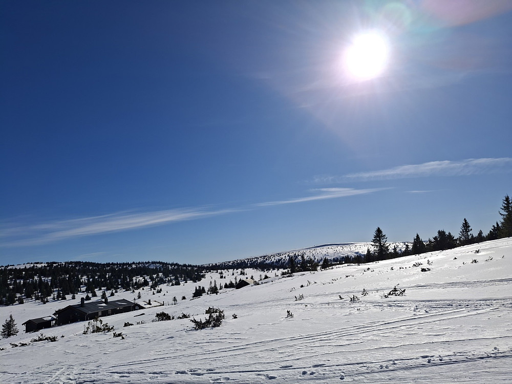 Gjesboåsen
