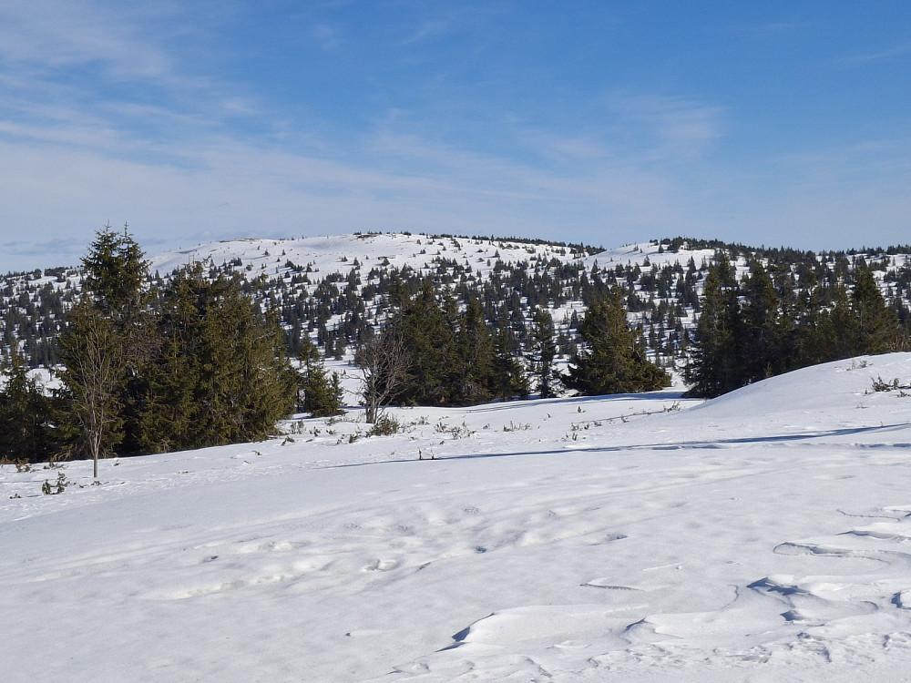 Mot Steinvikfjellet fra Gjesboåsen