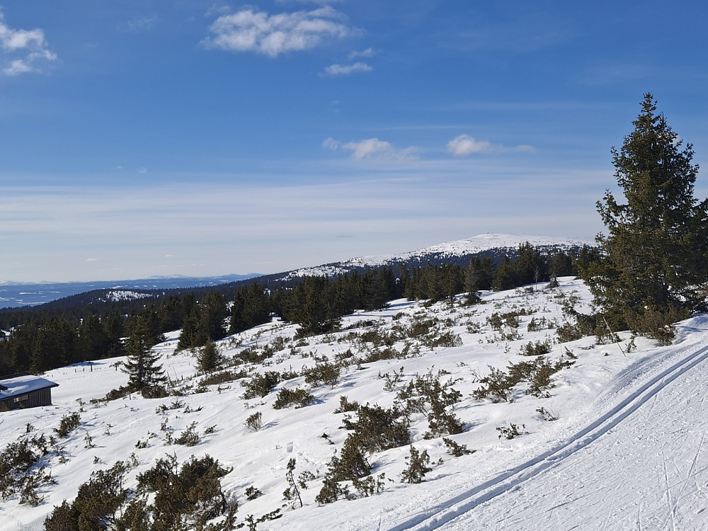 I løypa ved Løvisåsen
