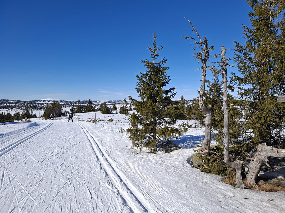 Gjesboåsen