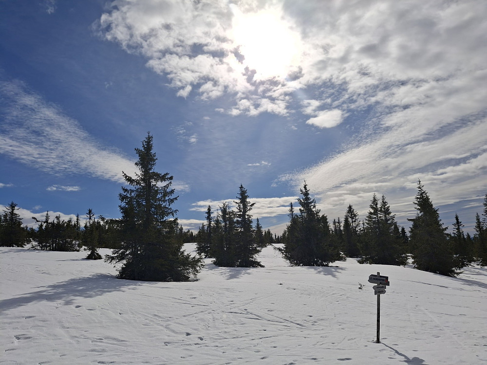 Snart oppe ved Nordseterfjellet