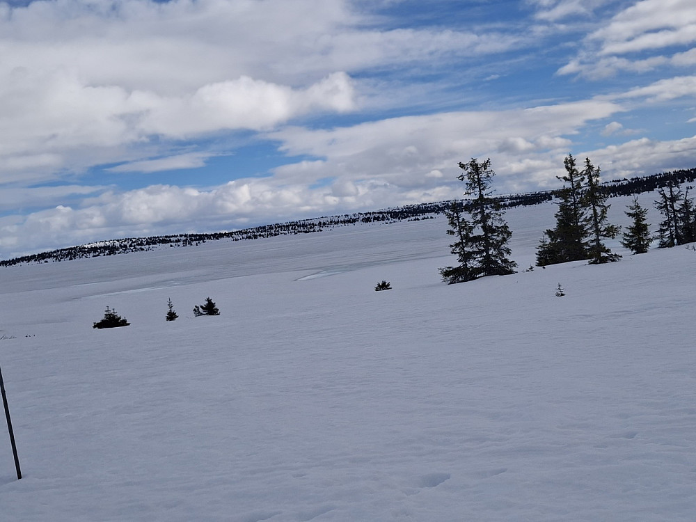 Over Reinsvatnet, mot Nyseterhøgdene, noe overvann på Reinsvatnet nå