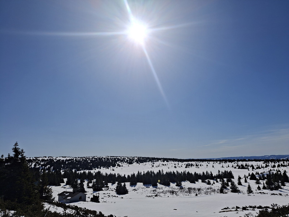 I løypa ved Løvisåsen