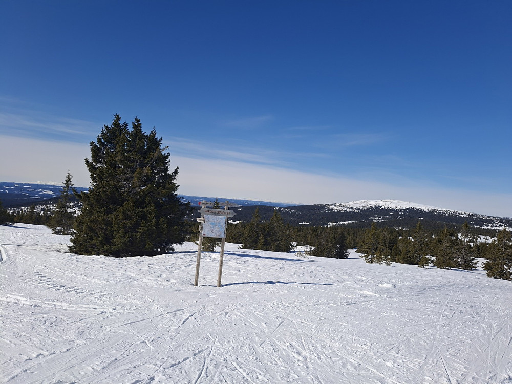 Ved løypekrysset Nordseterfjellet