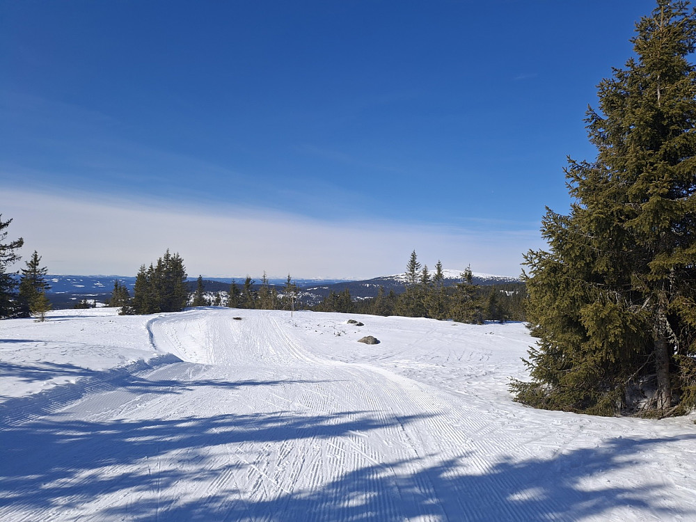 På Appelsinhaugen