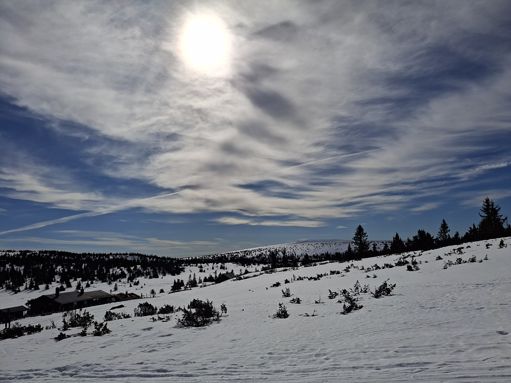 Ved Gjesboåsen, mot Snørvillen