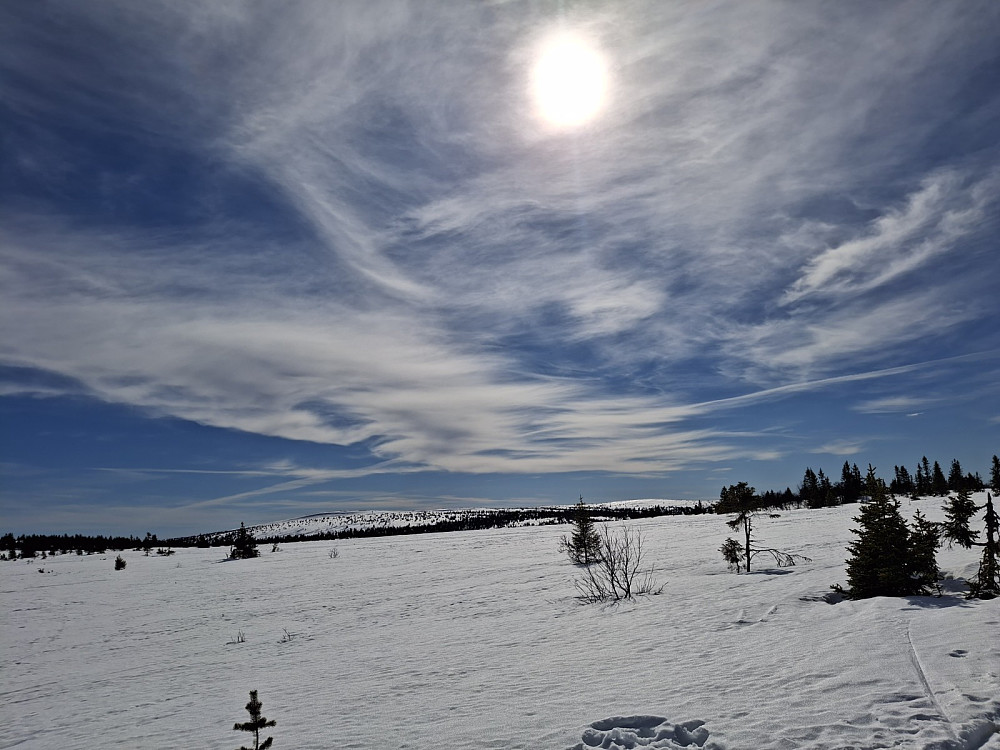 I løypa ved Kuåsen