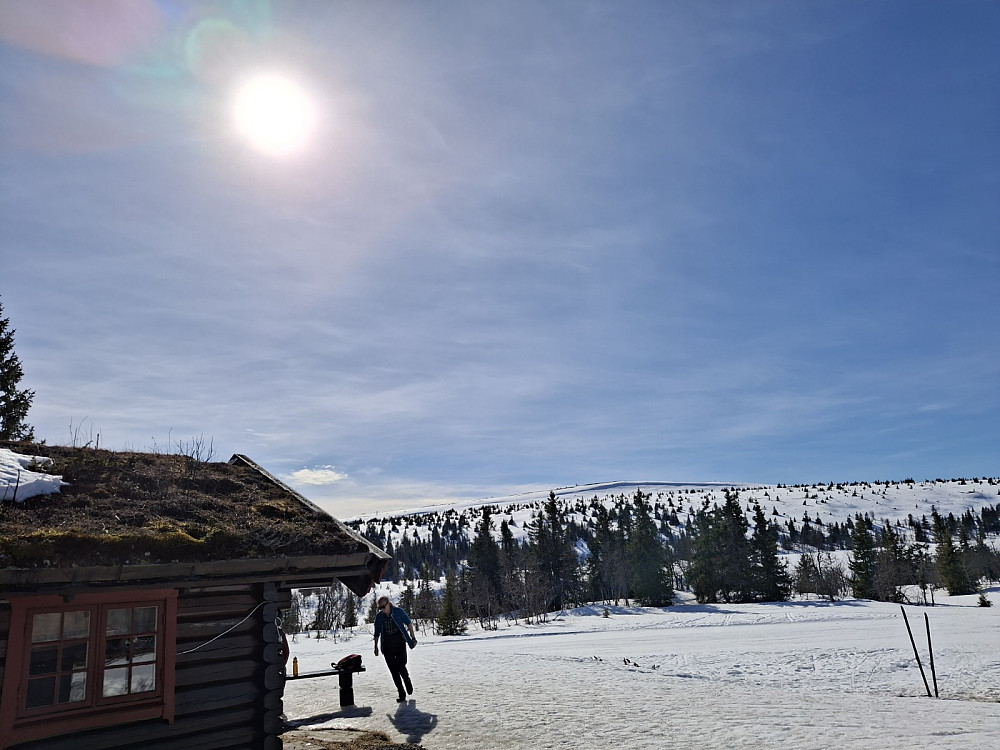 Ved Midtfjellkoia