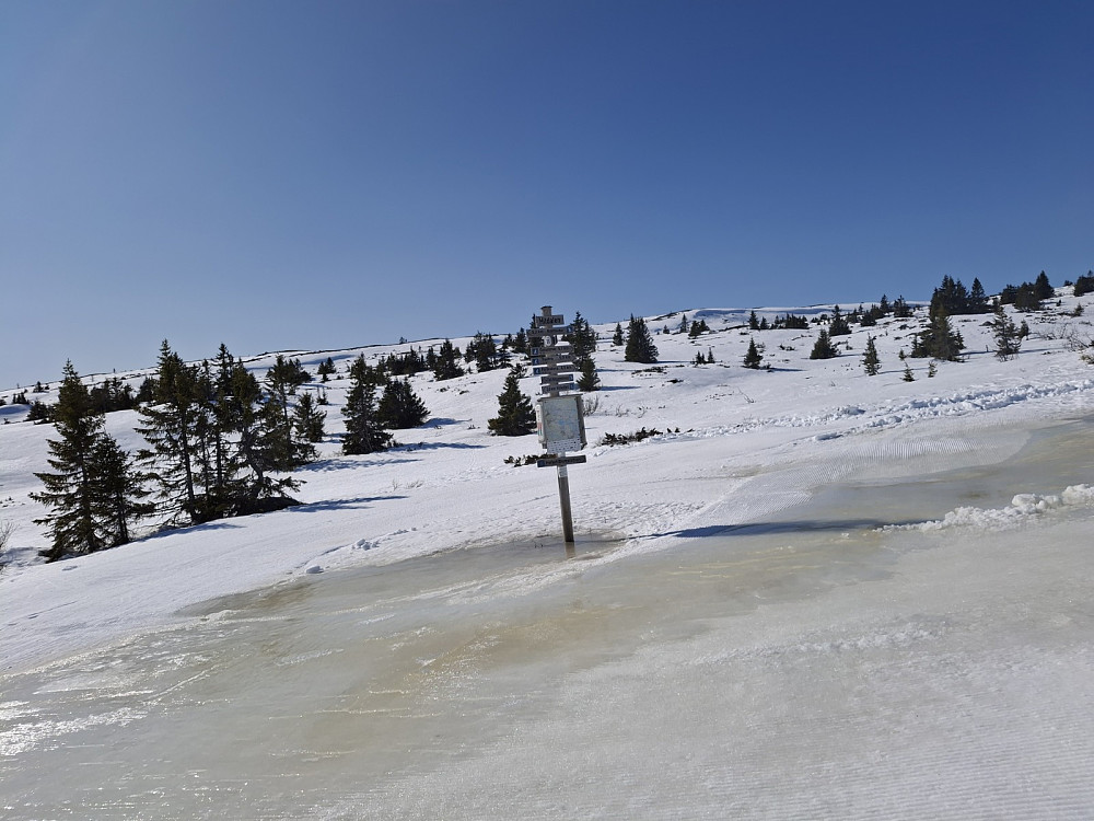 Ved løypekrysset Hitdalen