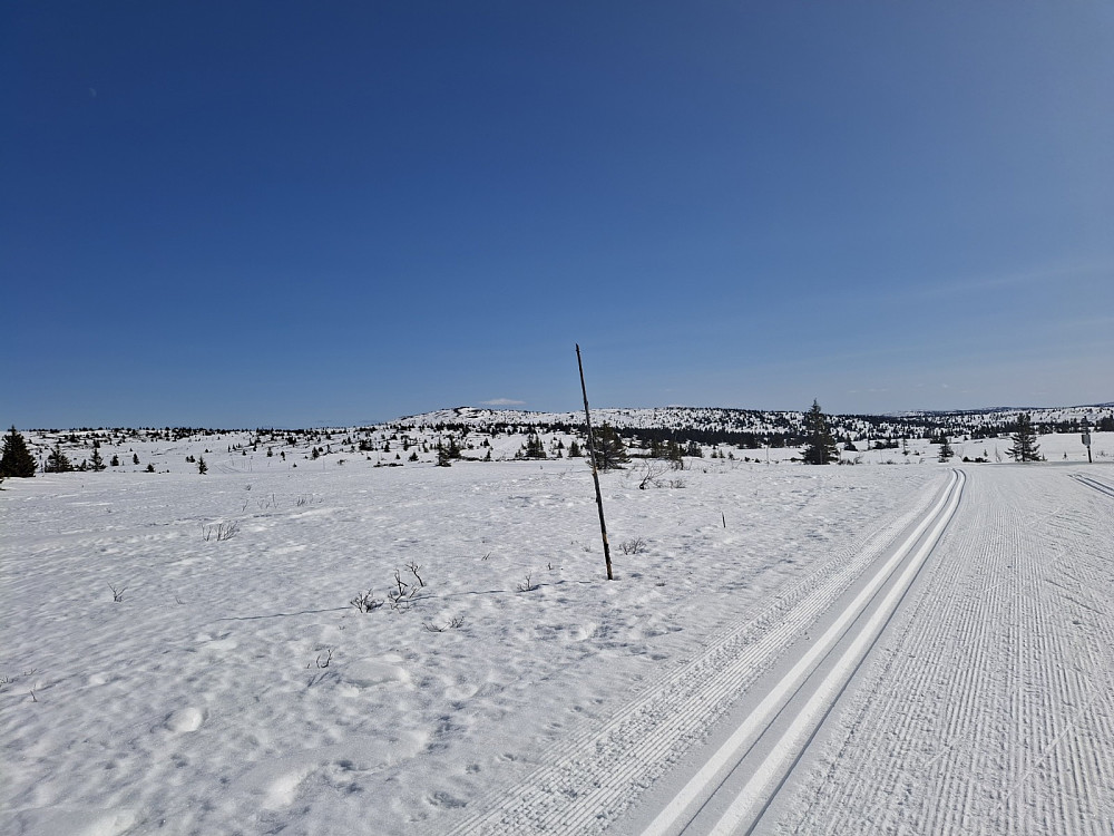 Ved løypekrysset Hitdalen