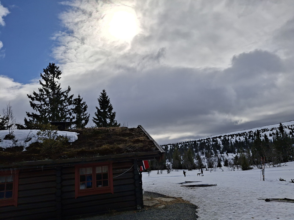 Ved Midtfjellkoia
