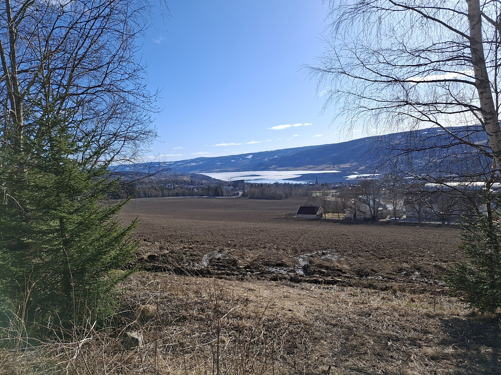 Lylsgårdsjordet
