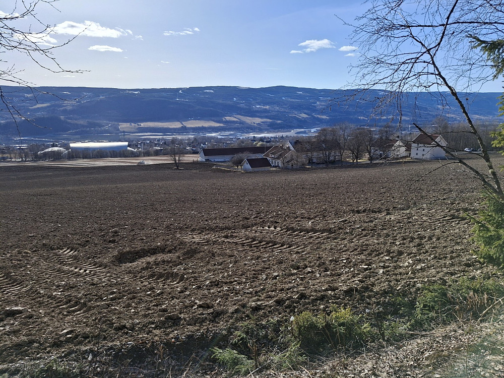 Våronn