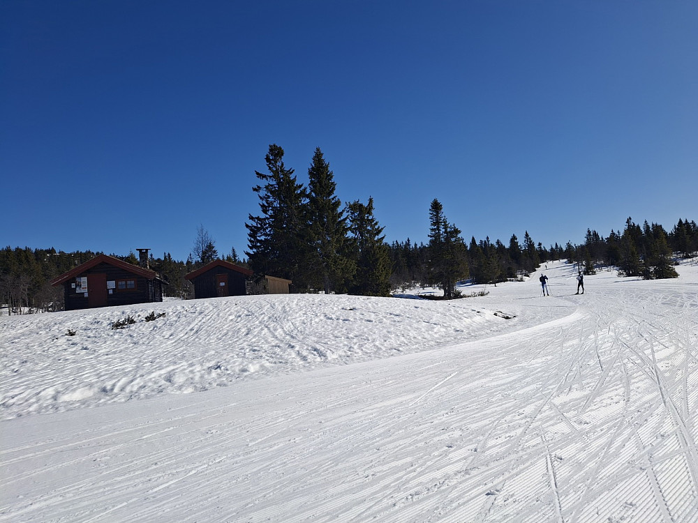 Ved Midtfjellkoia