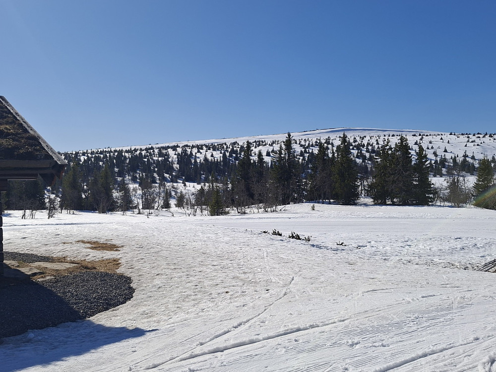 Ved Midtfjellkoia