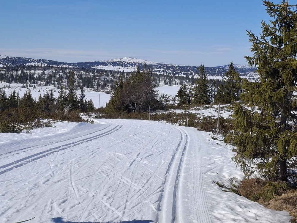 På Gjesboåsen