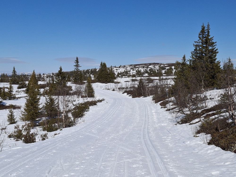 Mot Hærfjellet