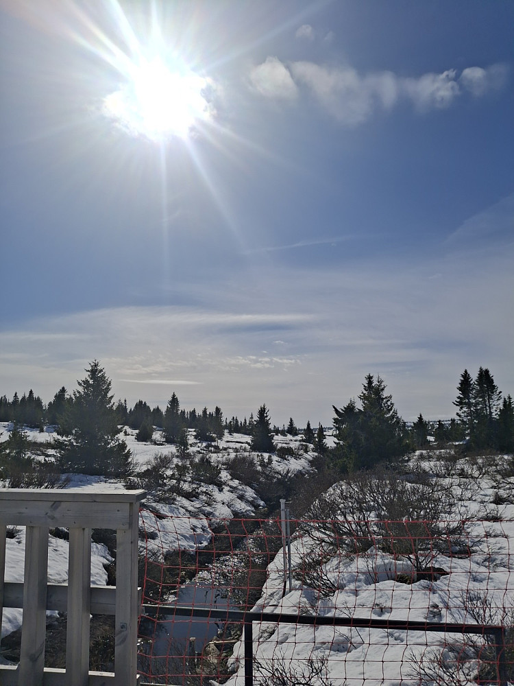 Ved Melsjøoset