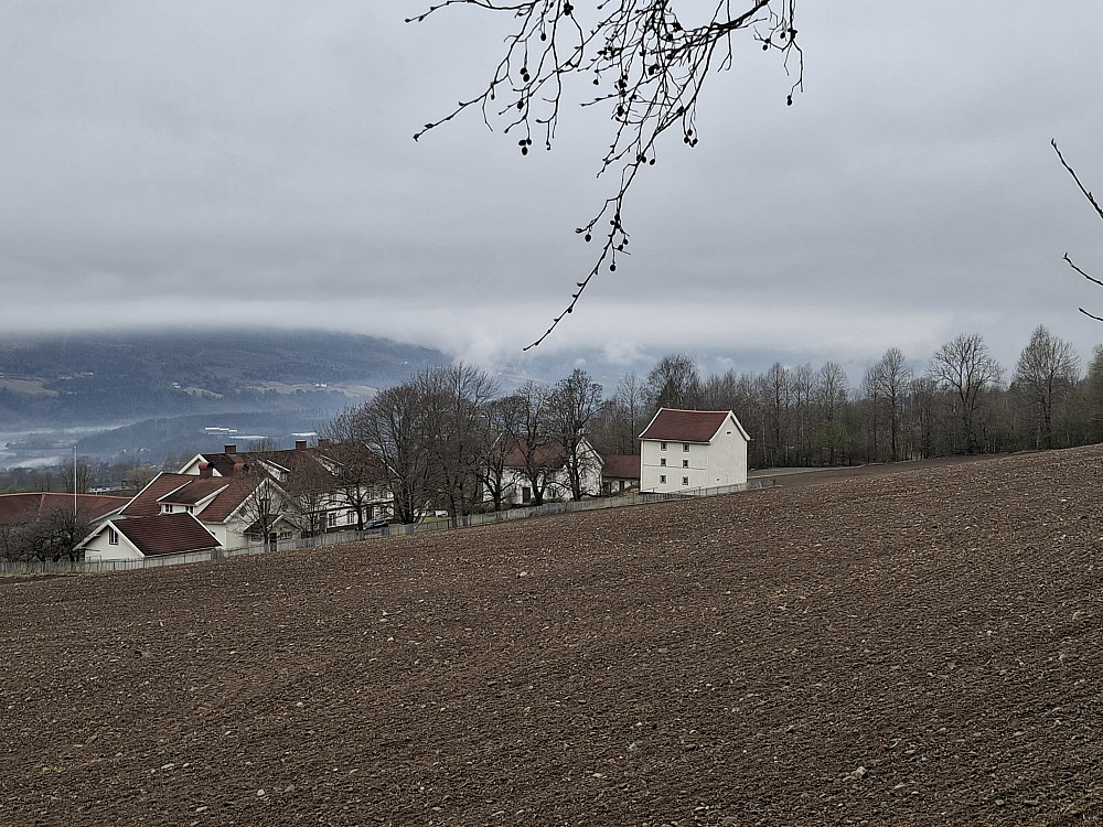 Lysgård