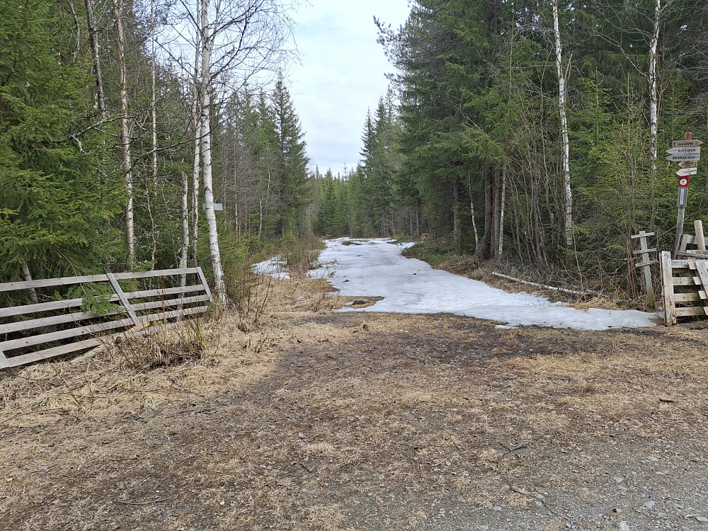 Rester av Ingalåmi ved Hammerkoia