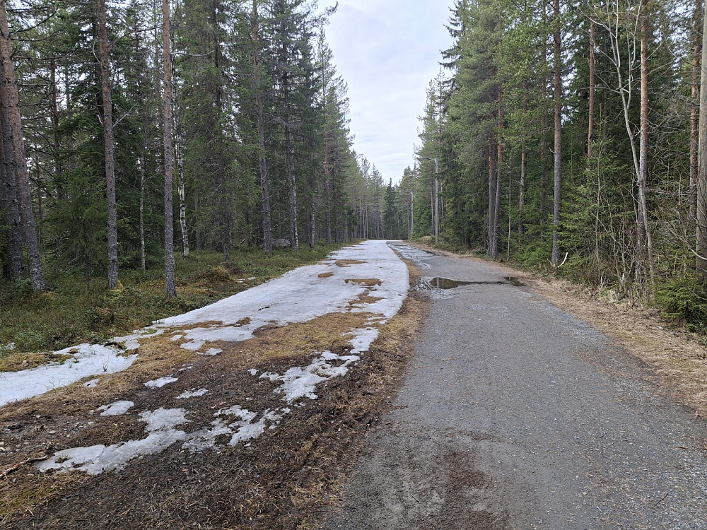 Rester av skiløypa