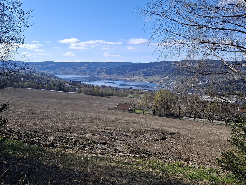 Over Lysgårdsjordet mot Mjøsa