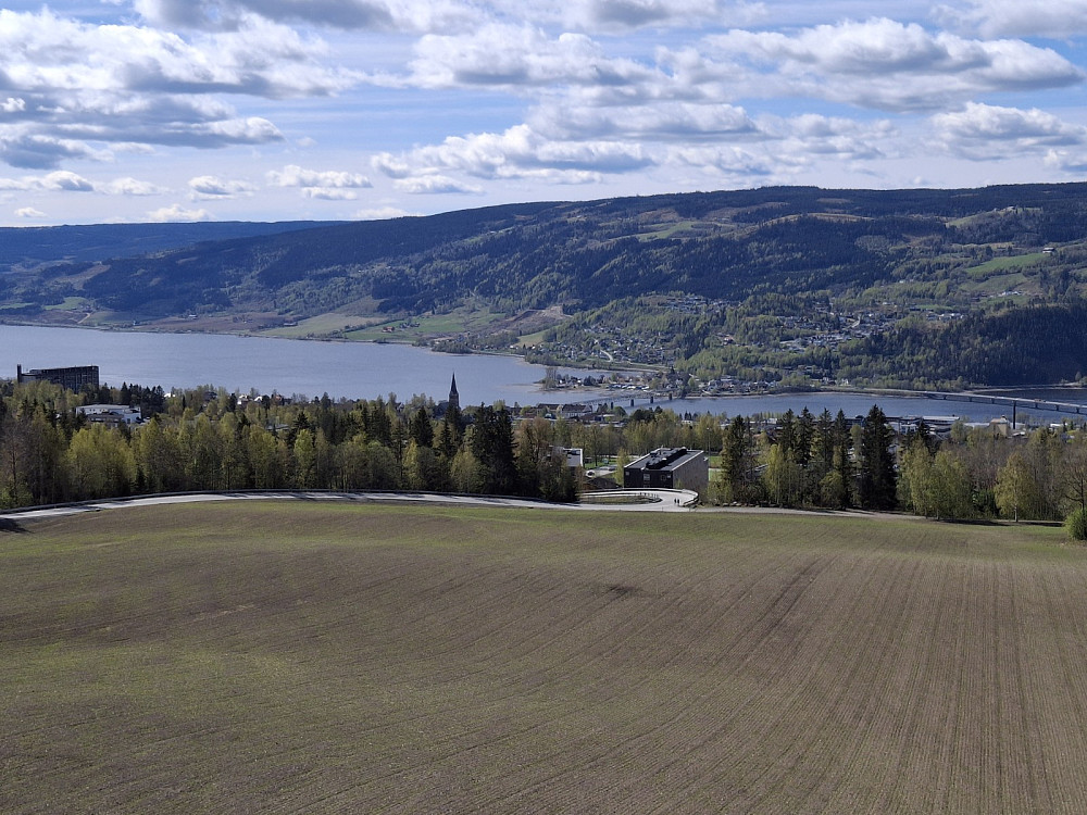 Over Lysgårdsjordet, åkeren spirer