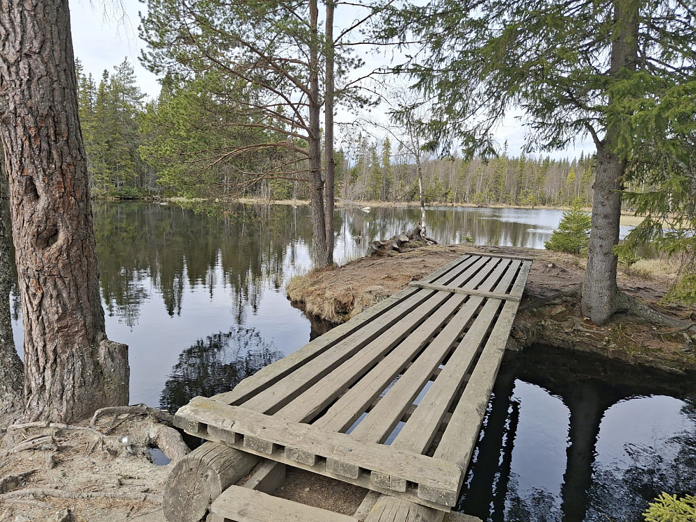 Ved Krokbua