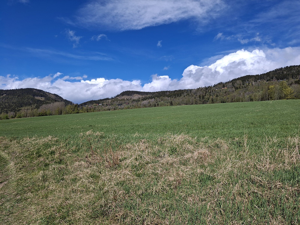 Utsikt mot Balbergkampen, Rundhaugen og Hansvehaugen fra Teigvegen