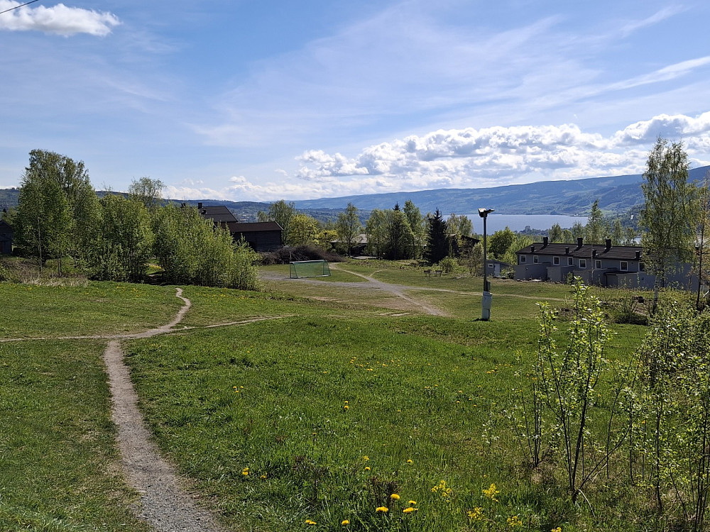 I Ekromskogen