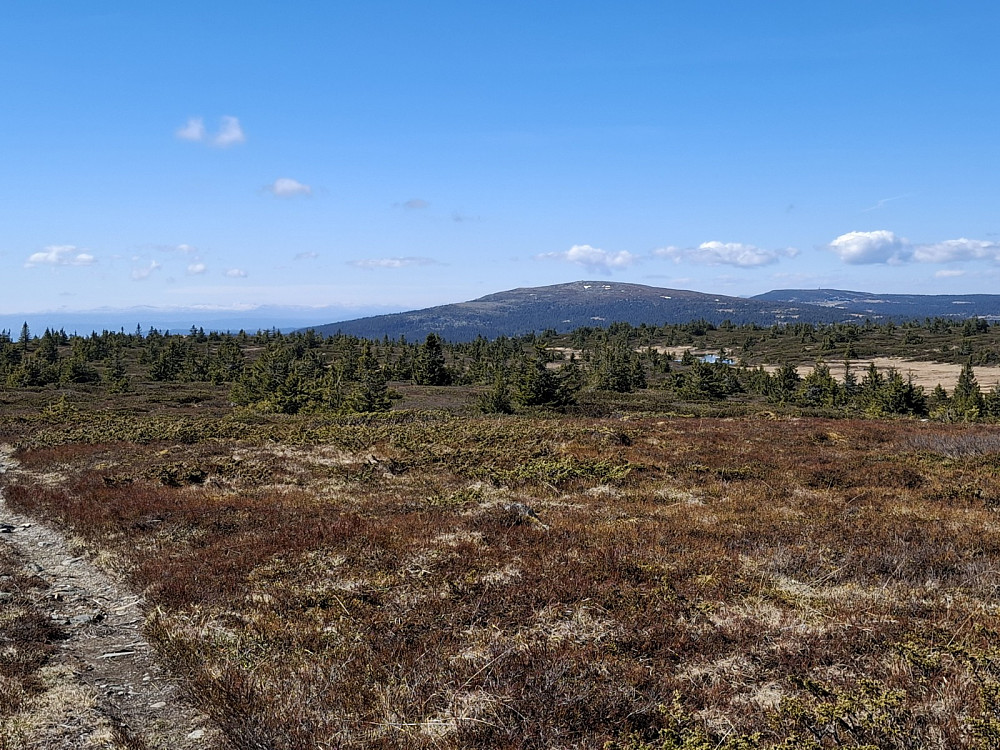 På Lunkefjell vest, mot Nevelfjell