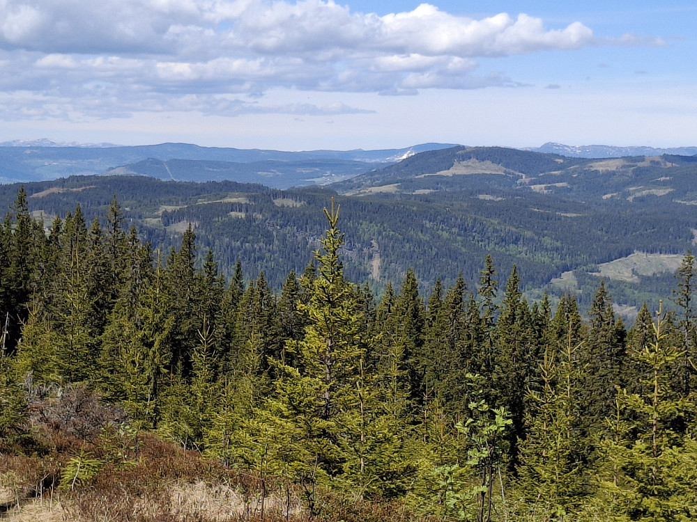 Mot Gausdal