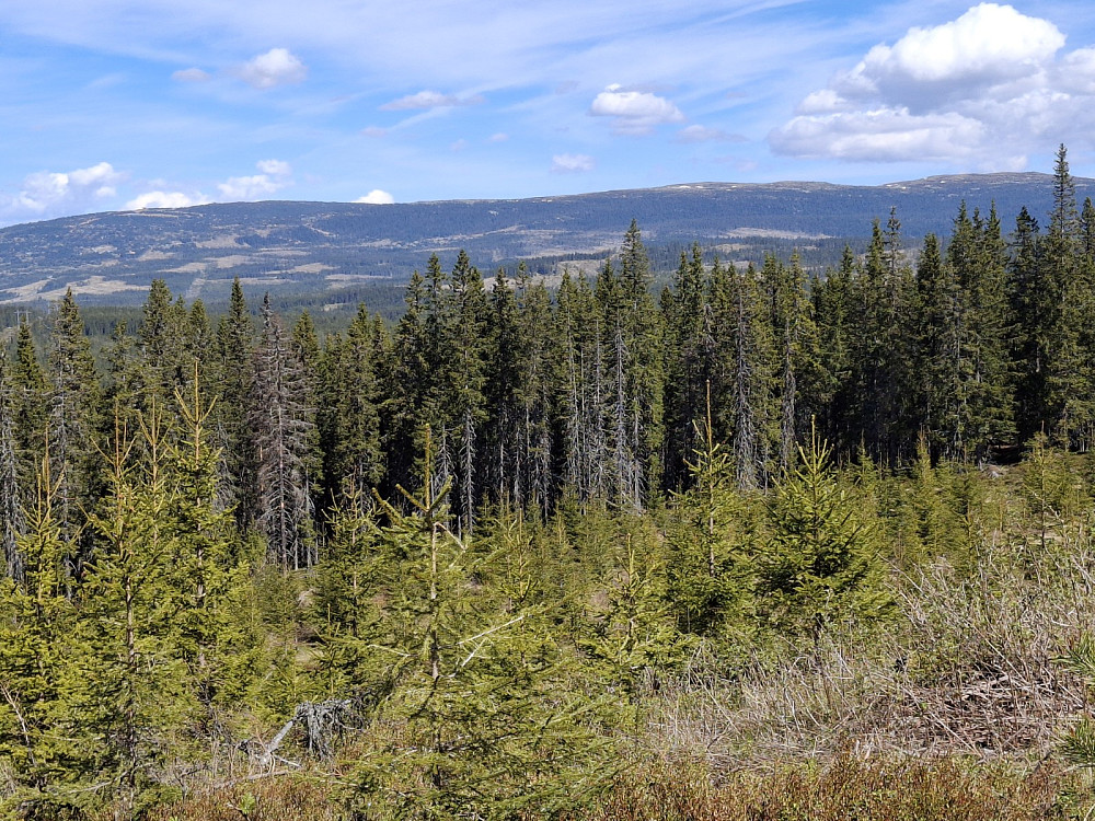 Mot Hafjell, Slåseterfjellet og Nevelfjell