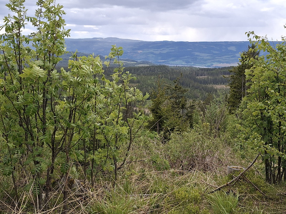 På Askjellrudåsen