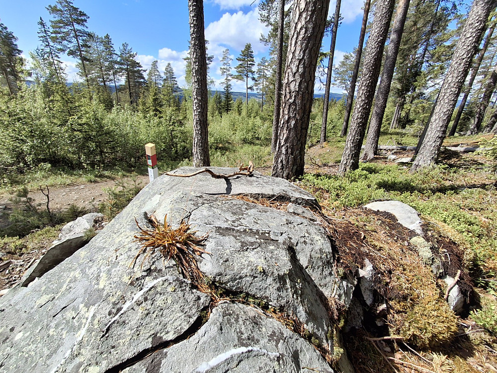 Stolpe ved Kvitmannsberget