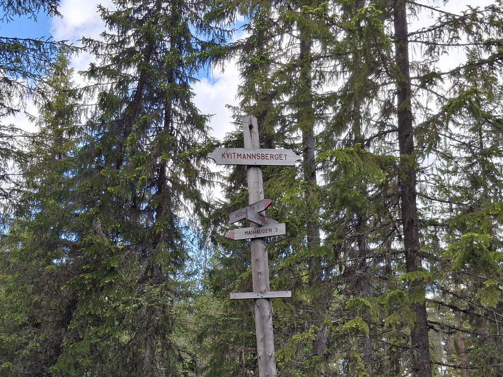 Ved sti-og løypekrysset Kvitmannsberget