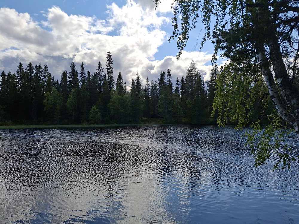 Ved Krokbua